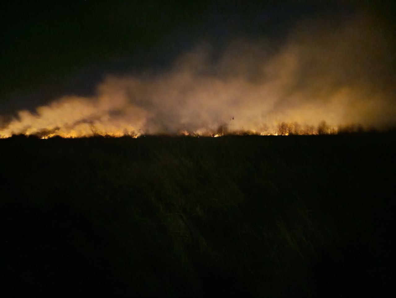 екопарк Оскорки